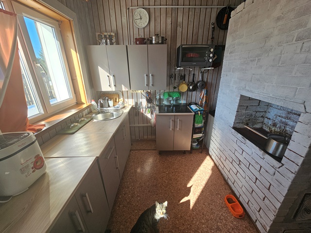 14-20260315_114216.jpg