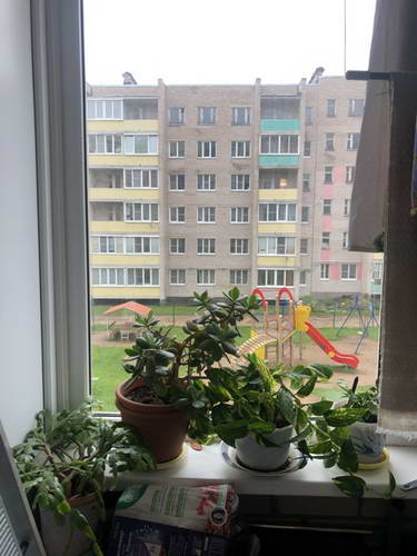 159B49BB-49B3-4846-A75F-5903D92EAC85.jpeg