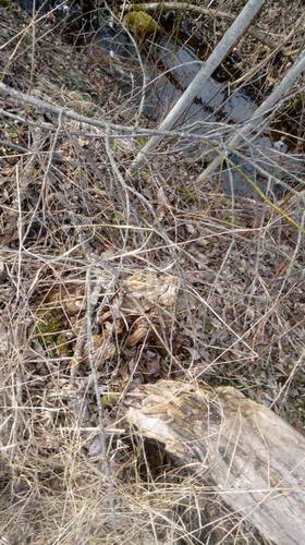 20170416_165016.jpg 20170416_165016.jpg