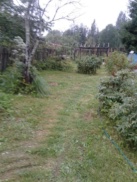 20180720_190148_resized.jpg