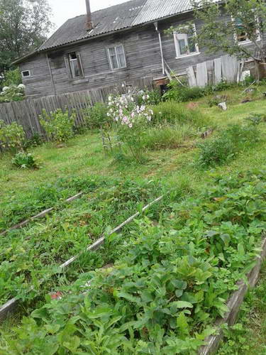 20180722_110519_resized.jpg