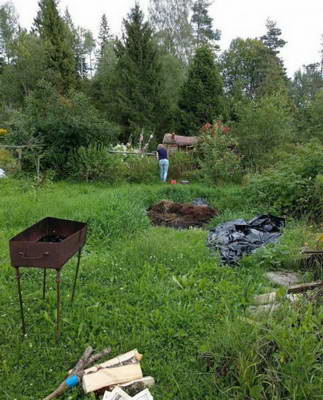 20201028_103306.jpg