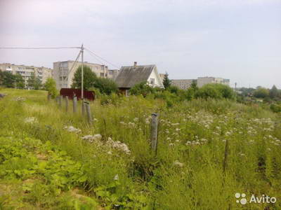 3099043177.jpg 3099043177.jpg