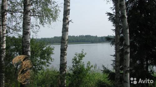 3301703287.jpg 3301703287.jpg