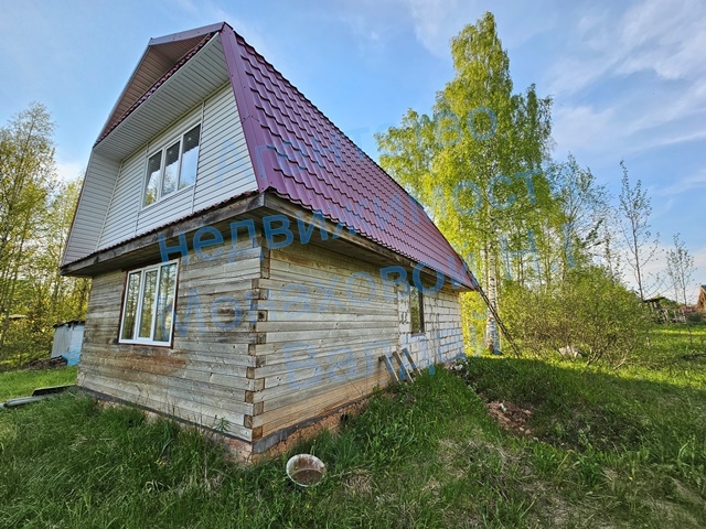 4-20250523_185619.jpg