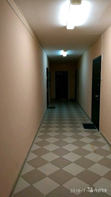 4617322881.jpg