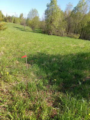 5-20220601_092112.jpg