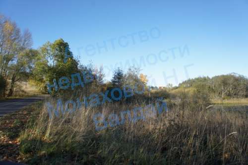 5_184.jpg