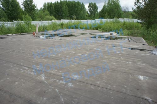 7b.jpg