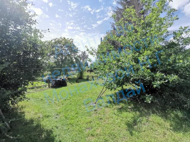 9-IMG_20230809_123259.jpg
