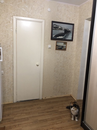 B8F6796D-79D5-4BDF-830F-309D3E87AC09.jpeg