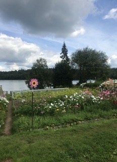 B9805E01-DF97-47B2-92F0-74129D1CFAAA.jpeg B9805E01-DF97-47B2-92F0-74129D1CFAAA.jpeg