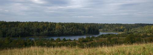 Baynevo_02_0.jpg