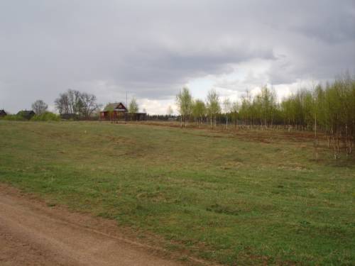 DSC02364.JPG