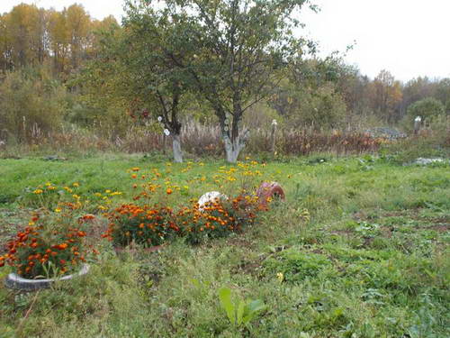 DSCN1538.JPG