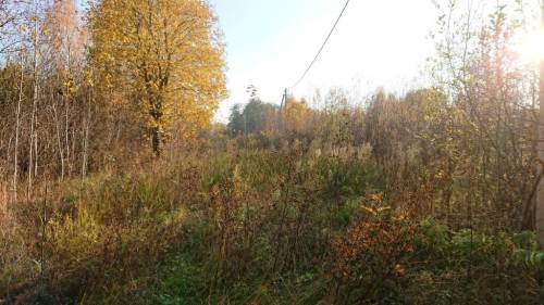 DSC_0919.JPG
