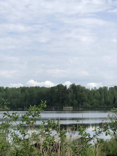 E6595392-9424-4C0F-ADD8-ABE25A78252E.jpeg