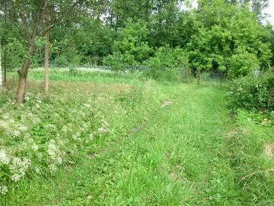 GEDC0026.JPG