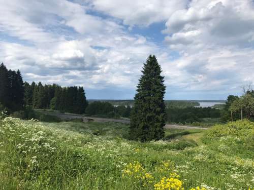 IMG-20180616-WA0003.jpg
