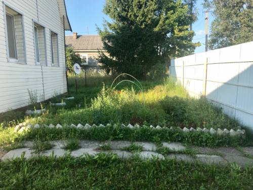IMG-20180731-WA0149.jpg