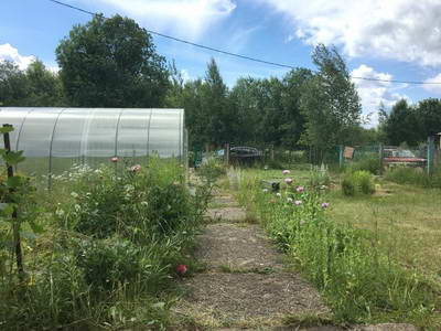 IMG-20180903-WA0054.jpg