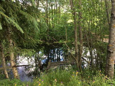 IMG-20180903-WA0064.jpg