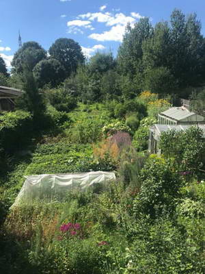 IMG-20180907-WA0011.jpg