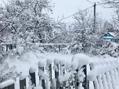 IMG-20190112-WA0031.jpg
