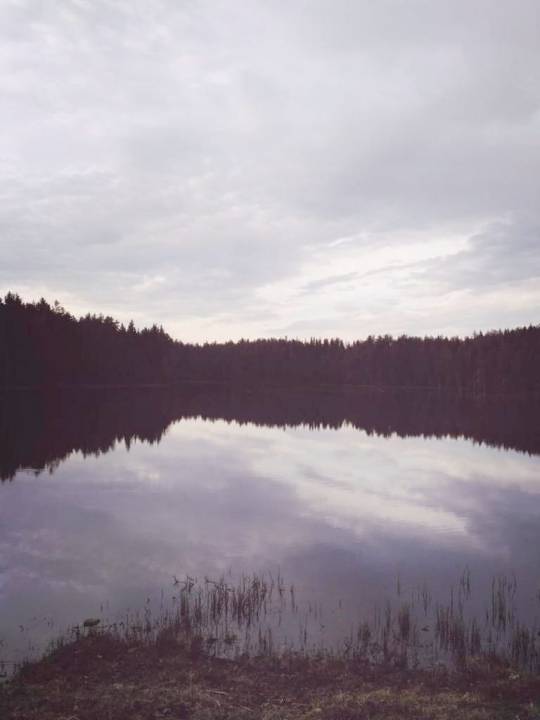 IMG-20190517-WA0011.jpg