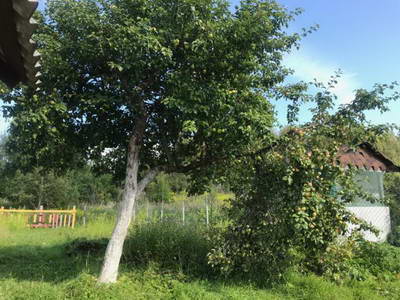 IMG-20190812-WA0024.jpg