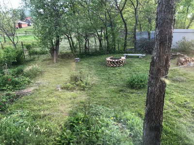 IMG-20200603-WA0022.jpg