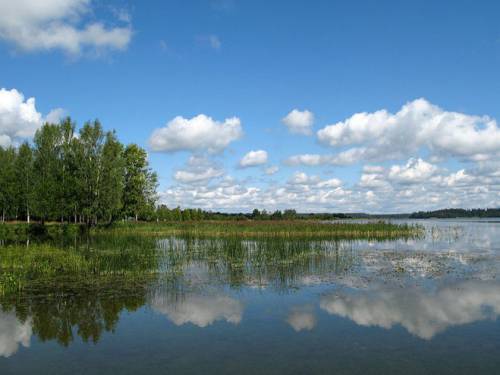 IMG-20210611-WA0004.jpg