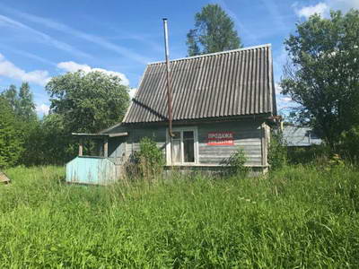 IMG-20210615-WA0065.jpg