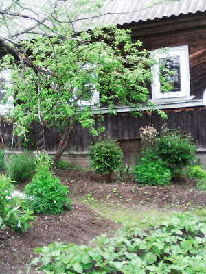 IMG0017A.jpg