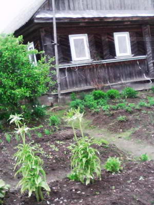 IMG0018A.jpg