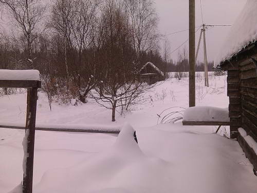 IMG_20161116_125934.jpg