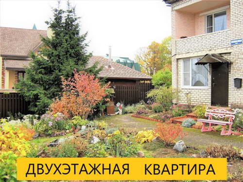 IMG_2054.png