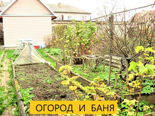 IMG_2062.png