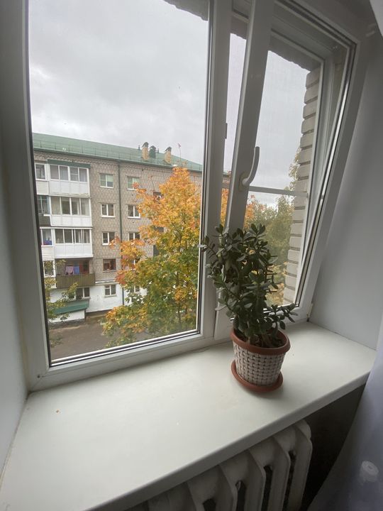 IMG_2120.jpg