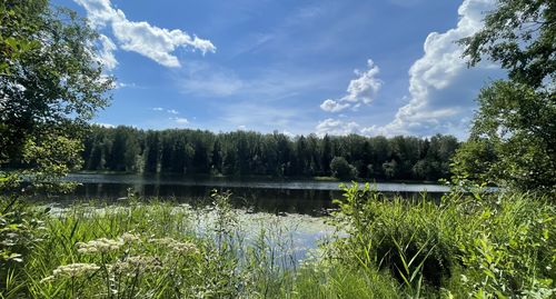 IMG_2181.jpg