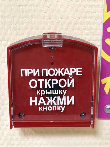 IMG_2507_1.jpg