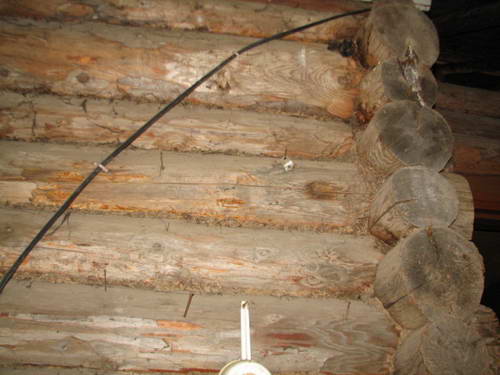 IMG_3386.jpg