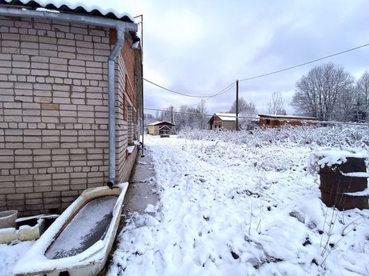 IMG_3749_1.jpg