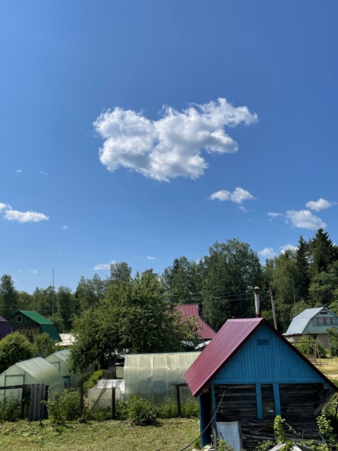 IMG_5480.jpeg IMG_5480.jpeg