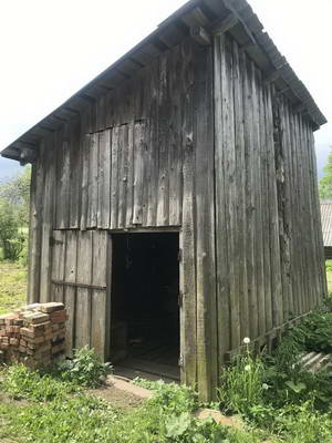 IMG_6247.jpg