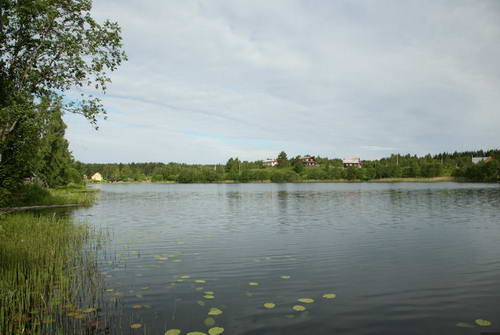 Novyi_risunok_1.bmp