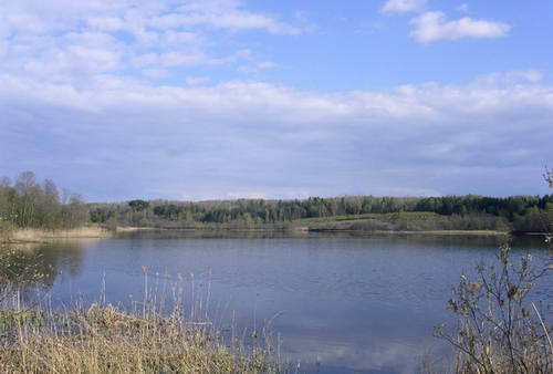 Novyi_risunok_3.bmp Novyi_risunok_3.bmp
