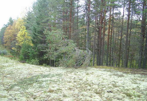 Novyi_risunok_4.bmp Novyi_risunok_4.bmp