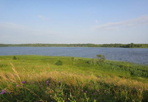 Novyi_risunok.bmp