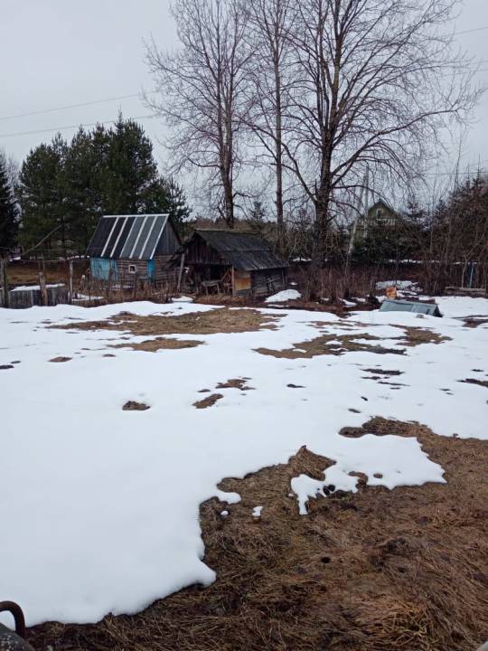 PHOTO-2023-04-04-15-15-48_1.jpg